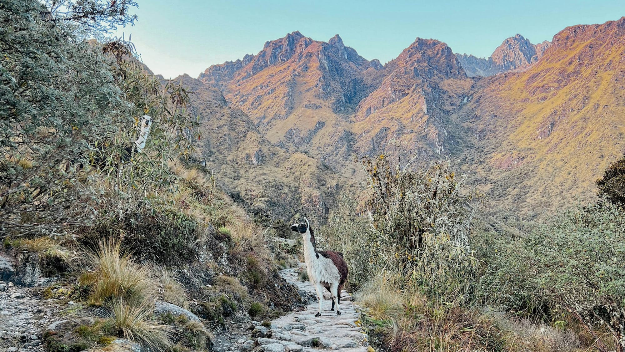 Four Days on the Inca Trail to Machu Picchu: A Journey Through Andes Landscapes, Inca History, and Altitude Challenges